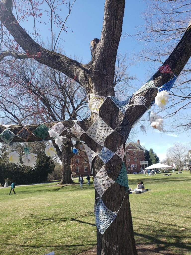 Tree on Smith College's campus with connected quilted squares and fabric pom-poms attached.